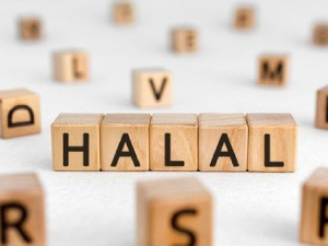 Kemenag: Obat, Kosmetik, dan Barang Gunaan Wajib Bersertifikat Halal 